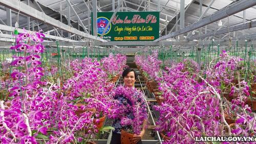 Nếu đến Lai Châu vào thời điểm này, quý khách có thể tìm đến vườn lan của anh Hoàng Văn Oanh nằm ngay bên đường Tôn Đức Thắng, thuộc tổ 7 (phường Quyết Tiến, thành phố Lai Châu, tỉnh Lai Châu).