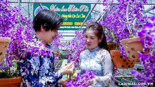 Vợ chồng anh Oanh hạnh phúc bên vườn Hoàng thảo kèn Lai Châu có một không hai, nơi đây tràn ngập tình yêu và sự tâm huyết. Vì vậy nhiều người chơi lan đặt cho anh Oanh danh hiệu là ông Vua của Hoàng thảo kèn Lai Châu.