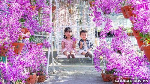 Chính vì vậy loài hoa này được người chơi lan yêu chuộng, nhiều người biết đến và rất nổi tiếng trong cả nước.